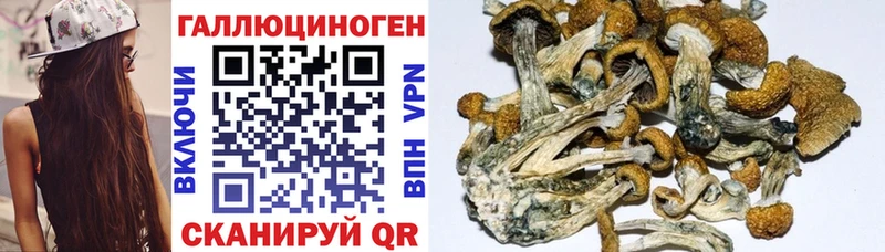 Псилоцибиновые грибы ЛСД  Новоузенск 