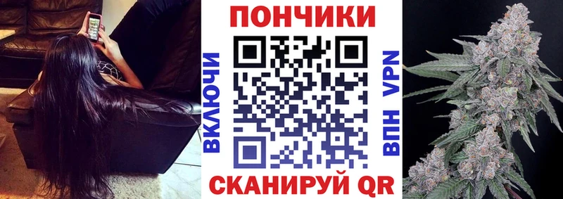 как найти наркотики  Новоузенск  Бошки Шишки тримм 